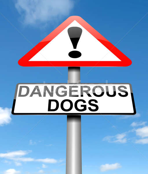 Dangerous dogs concept. Stock photo © 72soul