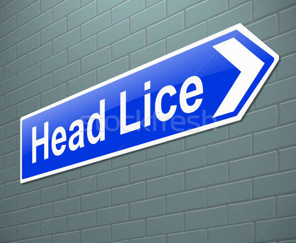 Head lice concept. Stock photo © 72soul