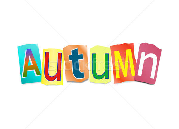 Autumn concept. Stock photo © 72soul