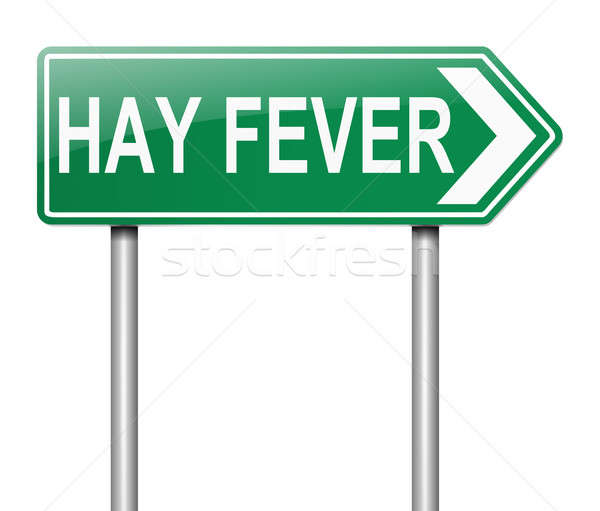 Hay fever concept. Stock photo © 72soul