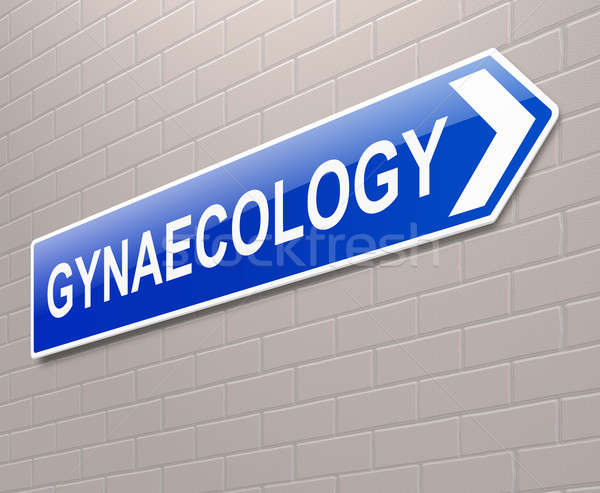 Gynaecology concept. Stock photo © 72soul