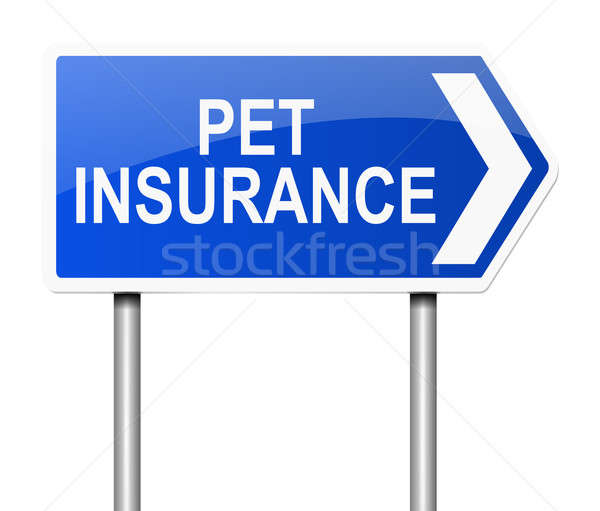 Pet insurance concept. Stock photo © 72soul