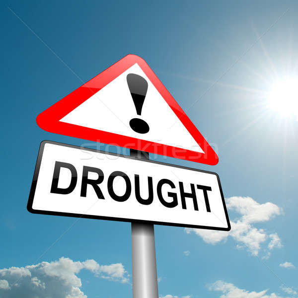Drought concept. Stock photo © 72soul