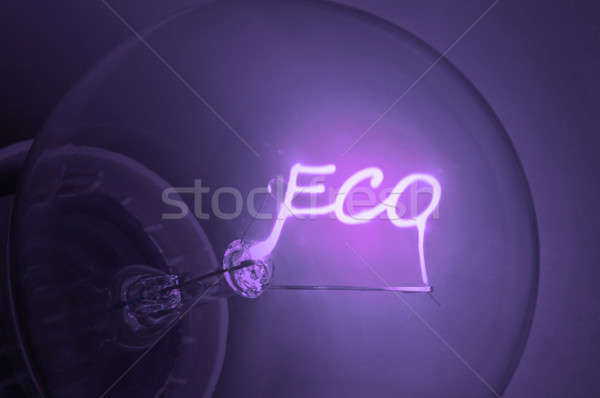 Ecological energy. Stock photo © 72soul
