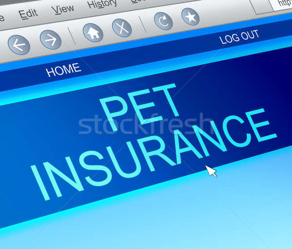 Pet insurance concept. Stock photo © 72soul