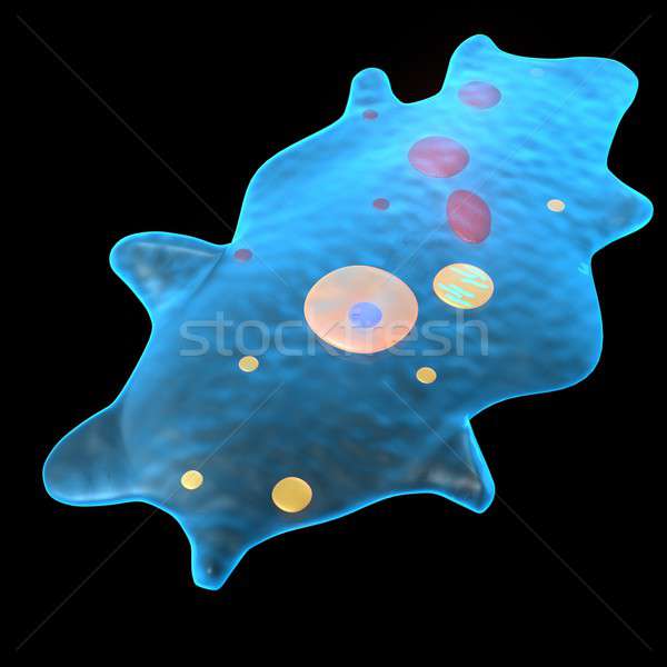Tipo células organismo capacidad forma no Foto stock © 7activestudio