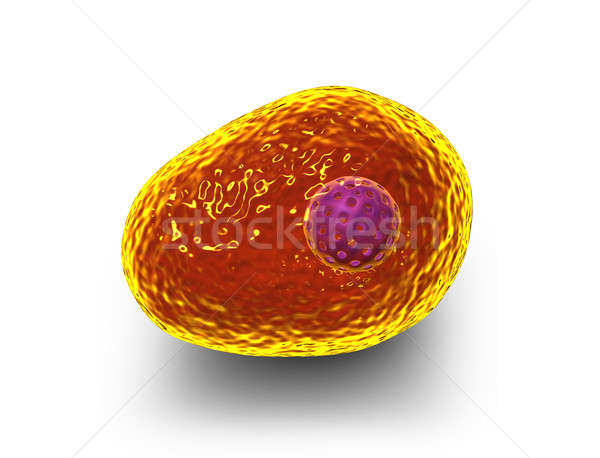 Formă reproducere nou organism mugur celulă Imagine de stoc © 7activestudio