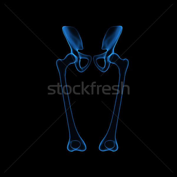 Biodro anatomia człowieka obniżyć brzuch region Zdjęcia stock © 7activestudio