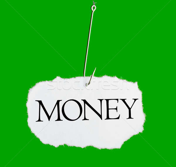 Szó pénz halászat kampó zöld fém Stock fotó © a2bb5s