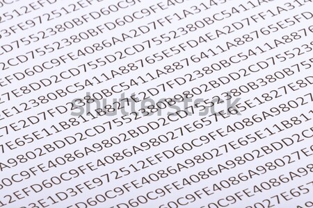 Binary code and red words Stock photo © a2bb5s