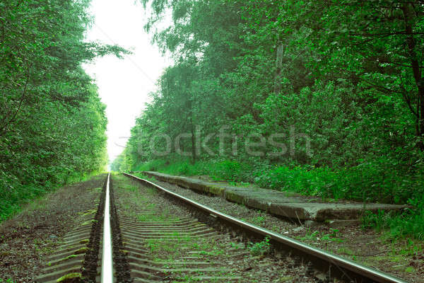 Vieux chemin de fer ligne bois [[stock_photo]] © a2bb5s