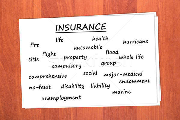 Various types of insurance Stock photo © a2bb5s