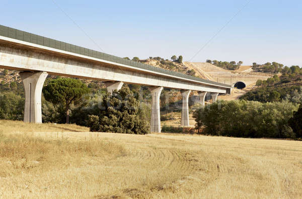 Feroviar pod tunel construcţie oraş Imagine de stoc © ABBPhoto