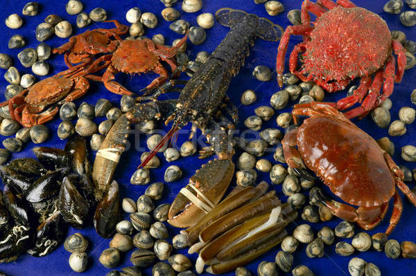 Sea food Stock photo © ABBPhoto