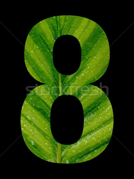 Număr masca verde frunze picături natură Imagine de stoc © ABBPhoto