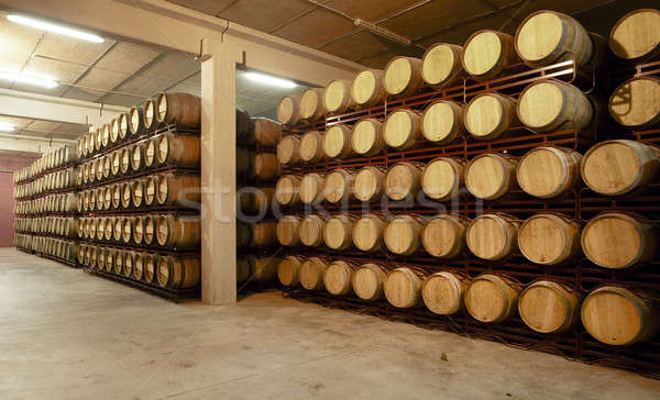 Wine barrels in an aging cellar Stock photo © ABBPhoto