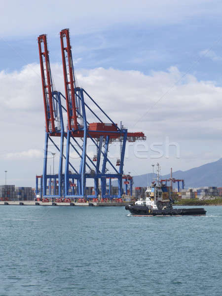 Container terminal with gantry cranes Stock photo © ABBPhoto