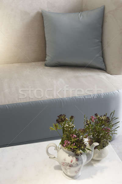 家 ホールド 装飾 要素 ソファ 枕 ストックフォト © ABBPhoto