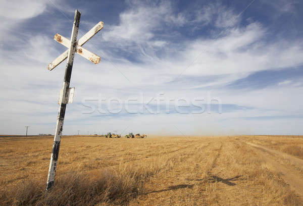 Train signal on a crossroad  Stock photo © ABBPhoto