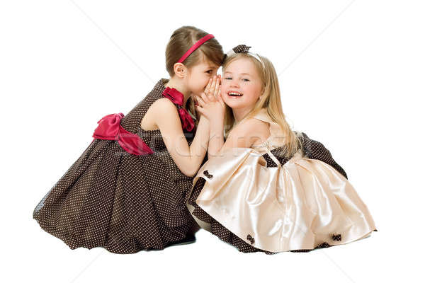 Dois meninas falante isolado branco feliz Foto stock © acidgrey