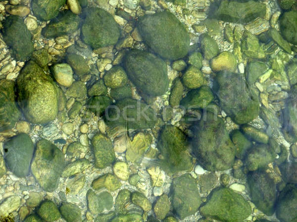 Stenen water gedekt groene zeewier Stockfoto © acidgrey