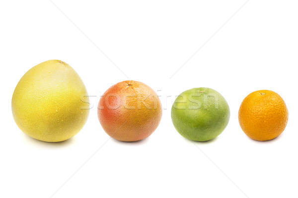 Pomelo, grapefruit, sweetie, orange Stock photo © acidgrey