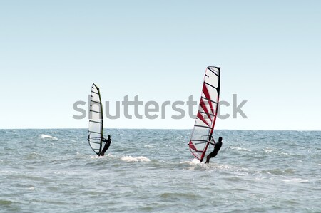 Windsurfer on waves of a sea 2 Stock photo © acidgrey