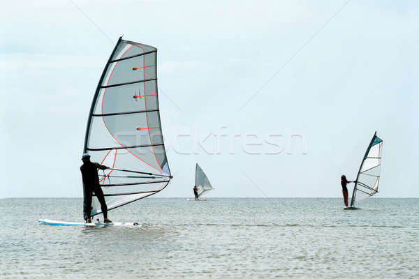 Silhouettes of a three windsurfers Stock photo © acidgrey