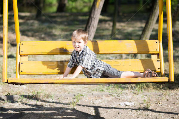 смешные мало мальчика позируют Swing парка Сток-фото © acidgrey