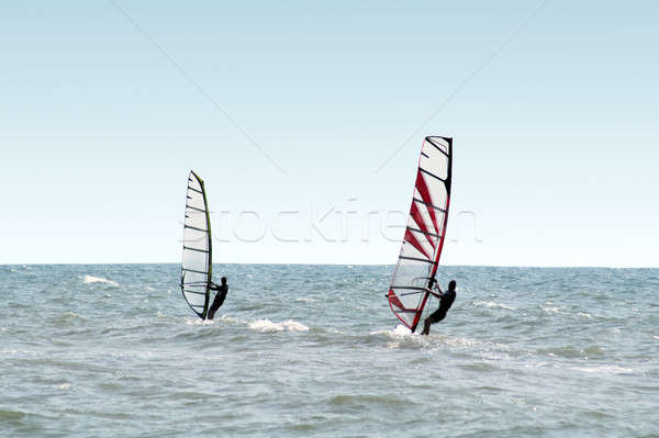 Two windsurfers on waves of a sea  Stock photo © acidgrey