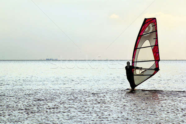 Man windsurfer Stock photo © acidgrey