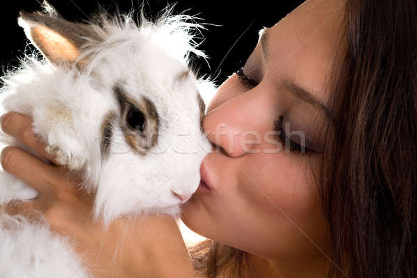 Portret sărutat iepure izolat Imagine de stoc © acidgrey