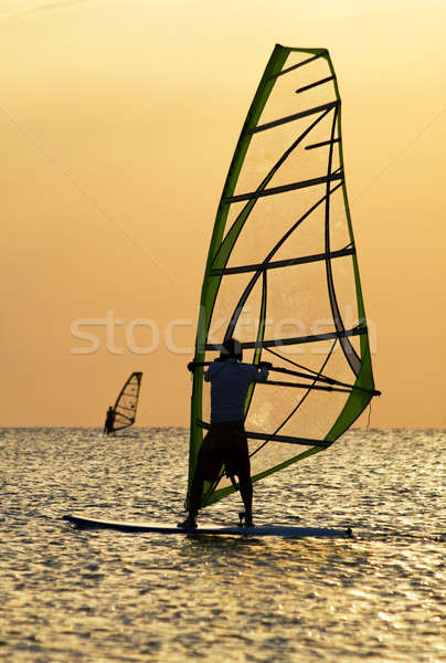 Silhouettes of a windsurfers on waves of a bay Stock photo © acidgrey