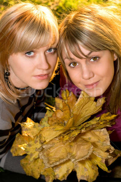 портрет два молодые блондинка лице Сток-фото © acidgrey