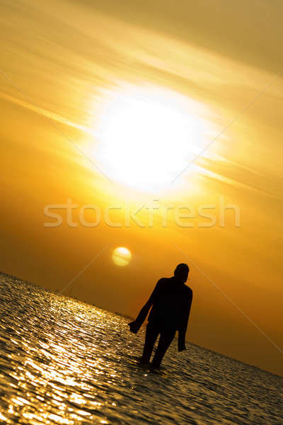 Lady at the seashore Stock photo © acidgrey