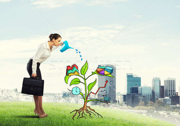 Young businesswoman outdoors watering drawn growth concept with can Stock photo © adam121