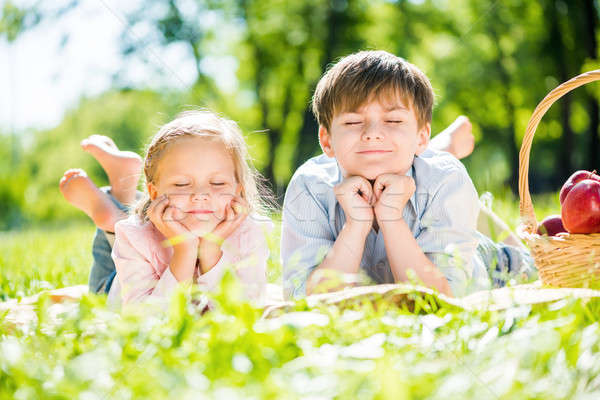 Dzieci piknik mały godny podziwu dzieci parku Zdjęcia stock © adam121