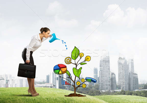 Young businesswoman outdoors watering drawn growth concept with can Stock photo © adam121