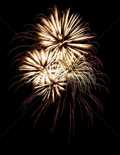 fireworks Stock photo © adam121
