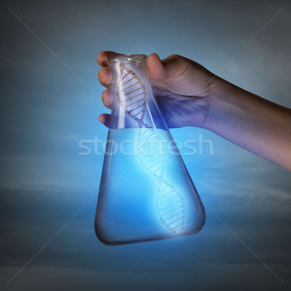 DNS közelkép emberi kéz tart kémcső kéz Stock fotó © adam121