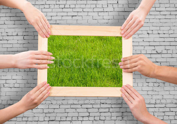Frame with grass Stock photo © adam121