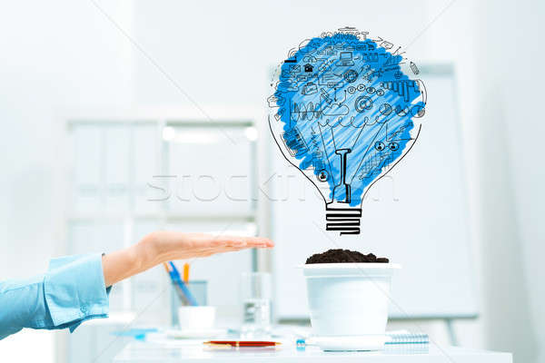 Invest and grow your income Stock photo © adam121