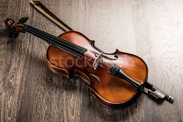 violin Stock photo © adam121