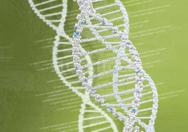 ДНК спираль научный аннотация медицинской Сток-фото © adam121