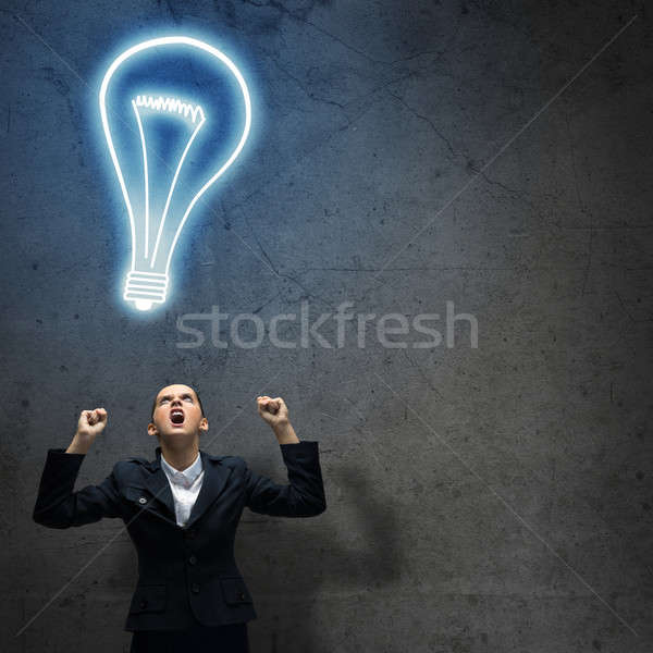 Idea concept Stock photo © adam121