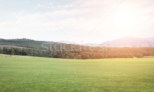 Grünen Sommer Paradies natürlichen Landschaft Bereich Stock foto © adam121
