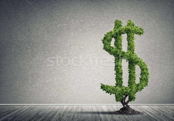 Stock photo: Right investment for getting income