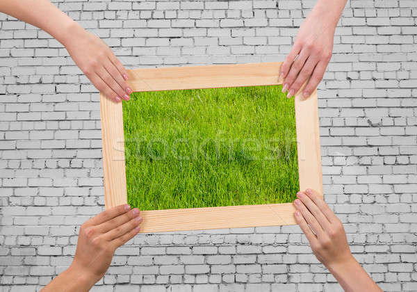 Frame with grass Stock photo © adam121