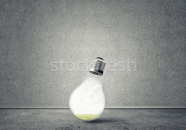 Light bulb in room Stock photo © adam121