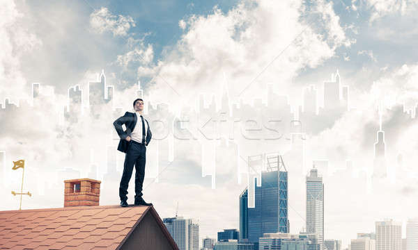 Mister boss on brick roof with arms akimbo. Mixed media Stock photo © adam121